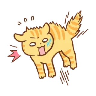 🐱