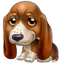 🐶