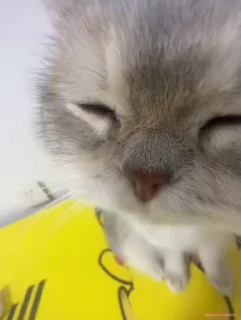 😌