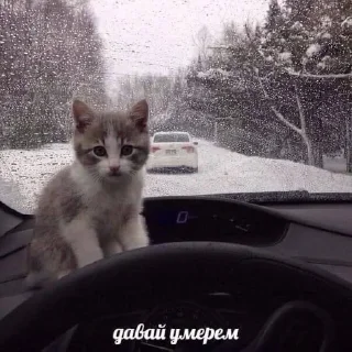 😱