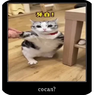 👍
