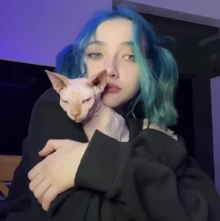 🐱