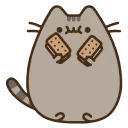 🍪