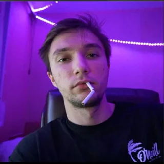 🐜