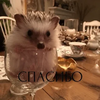🙂