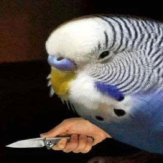 🔪
