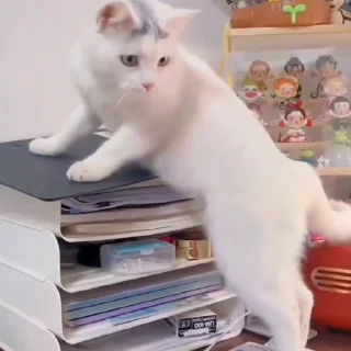 🤩