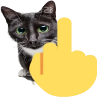 🖕