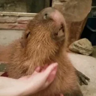 😏