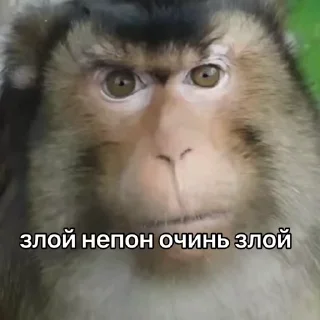 😡