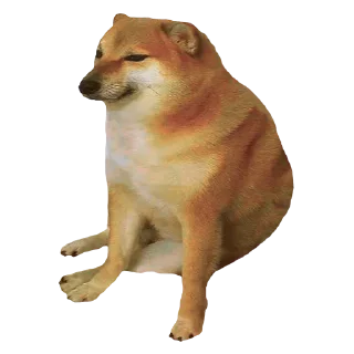 🐶
