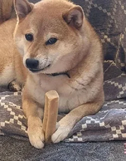 😔