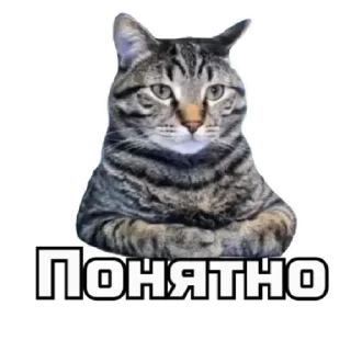 👌