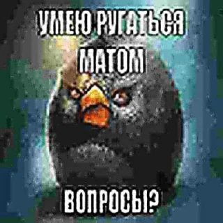 😎