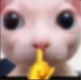 🤫
