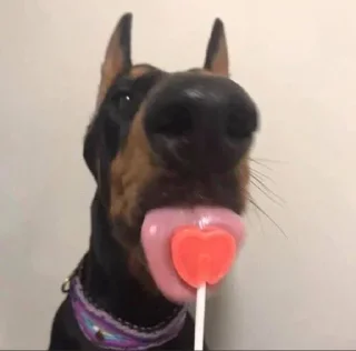 ❤️