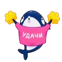 🦈