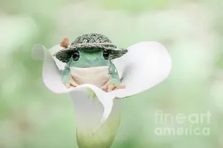 ☺