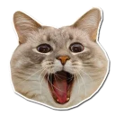 😄