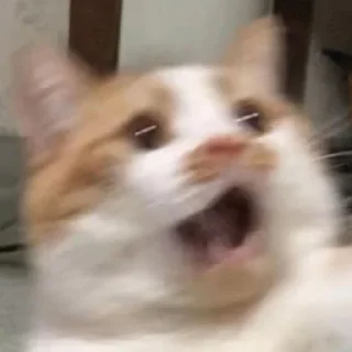 😱