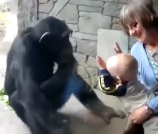 👶