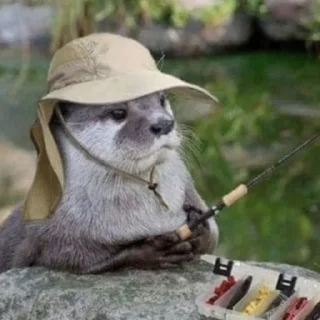 🎣