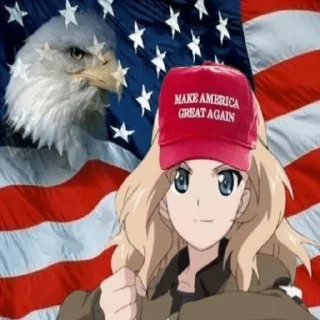 🇺🇸