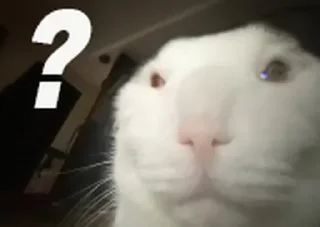 🤨