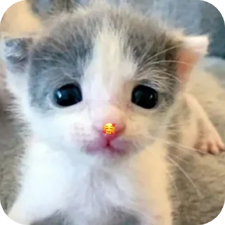 🥰
