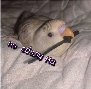 🤜