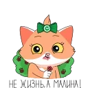 🍓