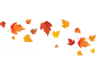 🍂