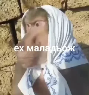 🌟