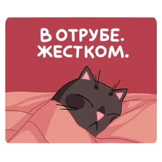 😴