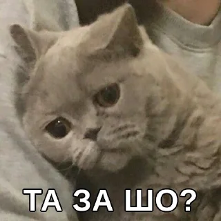 😢