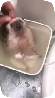 🛀