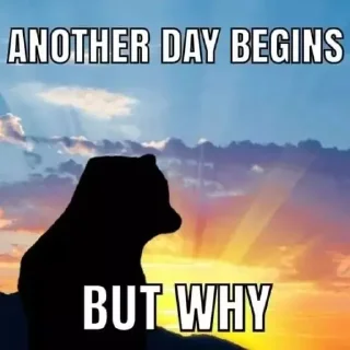 🤔