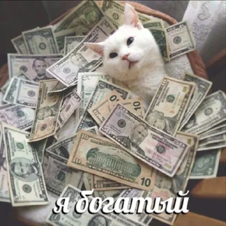🤑