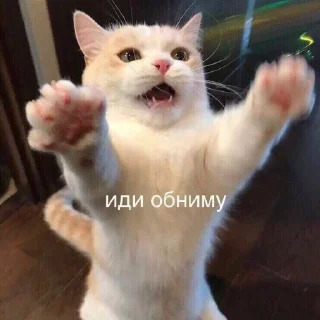 🤗