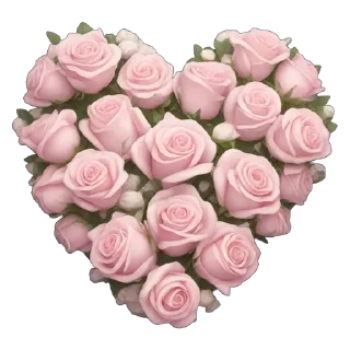 🌹