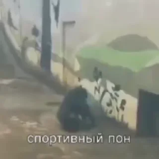 💫