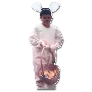 🐰