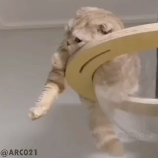 😓