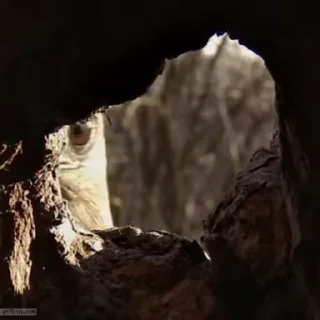 😀