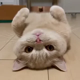 ☺️