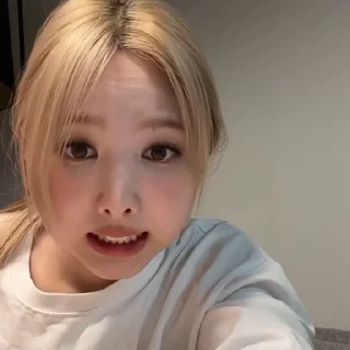 🐰