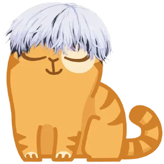 😼