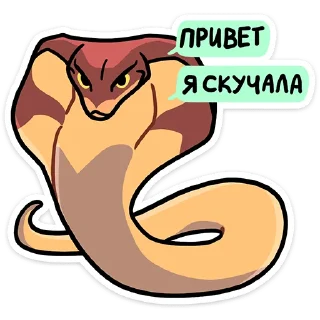 🐍