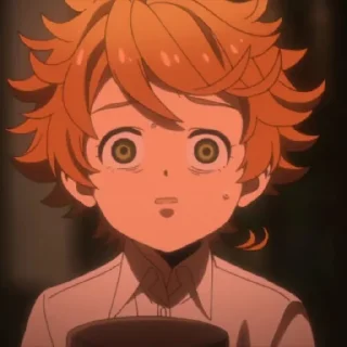 ✨