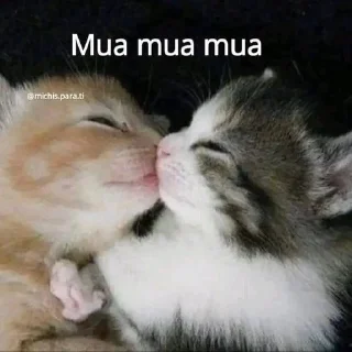 😘